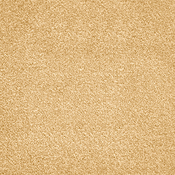 Ganges 35 Teddy Bear Carpet – Warm Soft Beige Fusionbac Flooring
