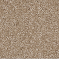 Daytona Saxony 686 Beige Carpet – Soft, Luxurious & Elegant