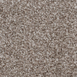 Daytona Saxony 776 Safari Carpet – Soft, Warm & Luxurious