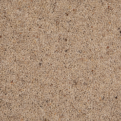 COUNTRY RETREAT BUTTERCHURN Carpet