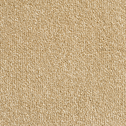 Condor Special Orlando AB 490 Carpet – Soft Durable Modern Flooring Solution
