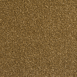 Condor Special Orlando AB 491 Carpet – Soft Durable Modern Flooring Solution