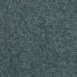 Daintree Noah Beach Carpet – Warm Natural Tones & Lasting Comfort