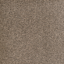 Darwin 9 Carpet – Soft, Stylish & Durable