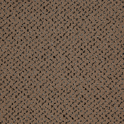 Epsom SD Cut Pile 272 Fawn Carpet – Warm Neutral Soft Elegance