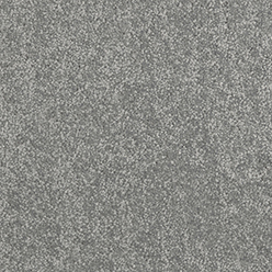 Daintree Queensland Carpet – Natural Elegance & Durable Everyday Living