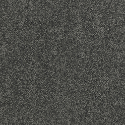 Daintree Shannonvale Carpet – Subtle Texture & Long-Lasting Comfort