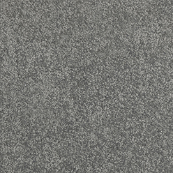 Daintree Stuart Creek Carpet – Natural Tones & Durable Everyday Comfort