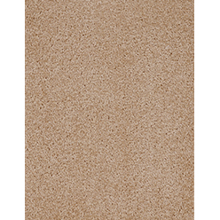 Dalton – 31 Ginger