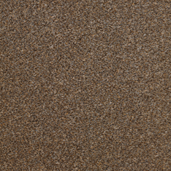FAIRFIELD CREATIONS Acorn Plain 220 Carpet – Natural Brown Elegant Flooring