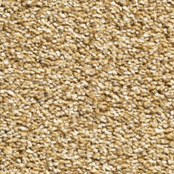 Cornwall (Condor) 52 Carpet – Durable Modern Flooring for Homes & Commercial Spaces