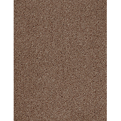 Dalton – 45 Magnum