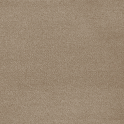 Invictus Severus 37 Sandy Steps Carpet