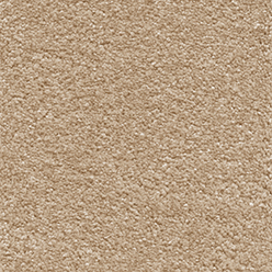 INVICTUS SIRIUS 34 Biscuit Carpet