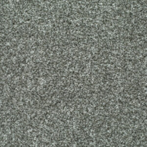 LITERATURE ELITE Author Carpet