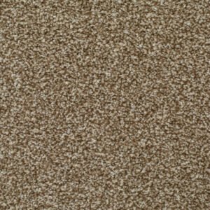 LITERATURE ELITE Chronicle Carpet