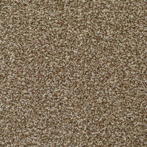 LITERATURE ELITE Chronicle Carpet