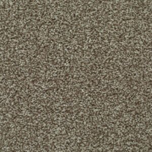 LITERATURE ELITE Diary Carpet