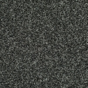 LITERATURE ELITE Draft Carpet