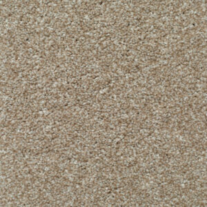 LITERATURE ELITE Narrative Carpet
