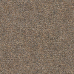INDEX CORD 9891 Beige Carpet
