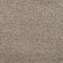 Invictus Darius 09 Highgate Carpet