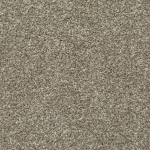LITERATURE ELITE Paragraph Carpet