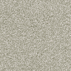 Invictus Darius 20 Fern Carpet