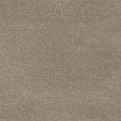 Invictus Severus 38 Portland Stone Carpet