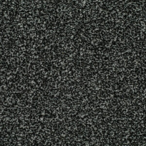 LITERATURE ELITE Parchment Carpet