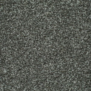 LITERATURE ELITE Print Carpet