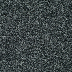 LITERATURE ELITE Scribe Carpet