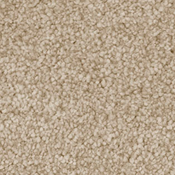 Invictus Darius 33 Temple Carpet