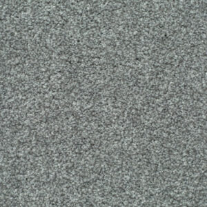 LITERATURE ELITE Signature Carpet