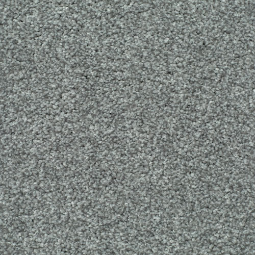 LITERATURE ELITE Signature Carpet