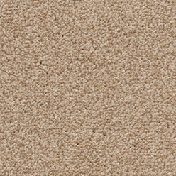 Invictus Darius 35 Golden Honey Carpet