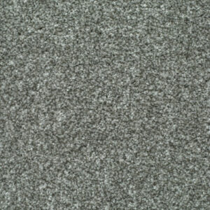 LITERATURE EXCLUSIVE Author Carpet