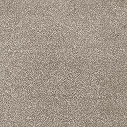 Invictus Darius 37 Soya Carpet