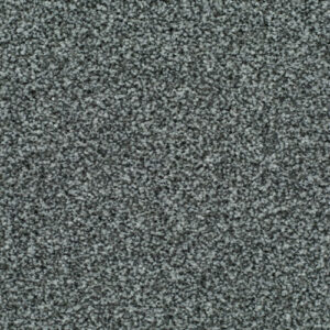 LITERATURE EXCLUSIVE Bookcase Carpet