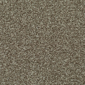 LITERATURE EXCLUSIVE Diary Carpet
