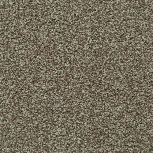 LITERATURE EXCLUSIVE Diary Carpet