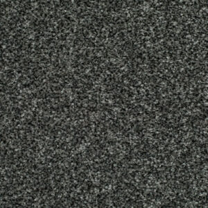 LITERATURE EXCLUSIVE Draft Carpet