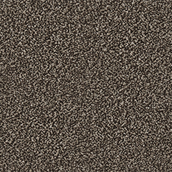 LINWOOD CLOVE Carpet