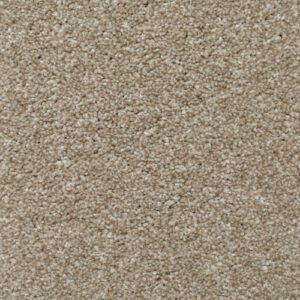 LITERATURE EXCLUSIVE Narrative Carpet