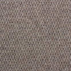 LITTLEBOURNE 91 MINK Carpet