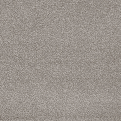 Invictus Severus 39 Perfect Taupe Carpet