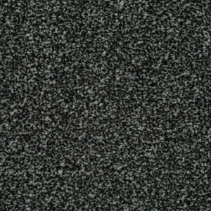 LITERATURE EXCLUSIVE Parchment Carpet