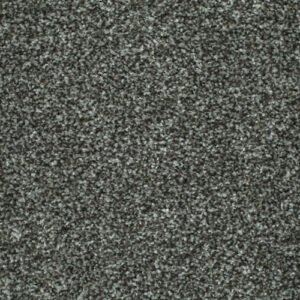 LITERATURE EXCLUSIVE Print Carpet