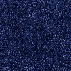 Jamboree 214 Navy Carpet