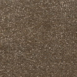 Jamboree 255 Warm Chocolate Carpet